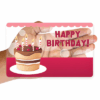 1 Transparent Card